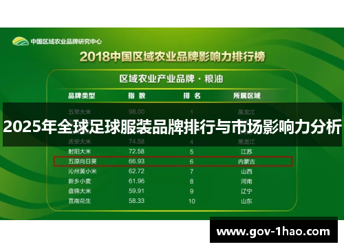 2025年全球足球服装品牌排行与市场影响力分析