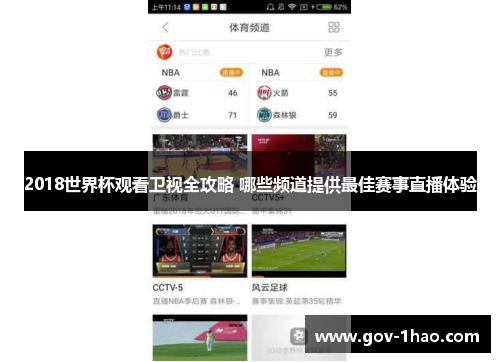 2018世界杯观看卫视全攻略 哪些频道提供最佳赛事直播体验